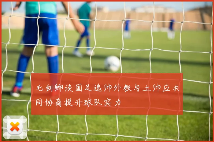 毛剑卿谈国足选帅外教与土帅应共同协商提升球队实力