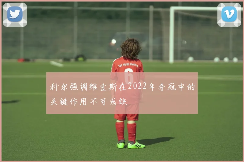 科尔强调维金斯在2022年夺冠中的关键作用不可或缺