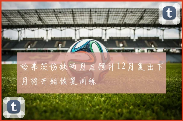 哈弗茨伤缺两月后预计12月复出下月将开始恢复训练