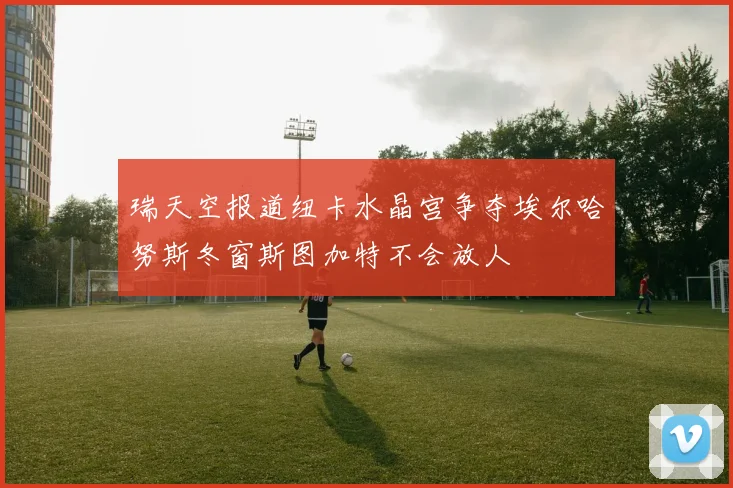 瑞天空报道纽卡水晶宫争夺埃尔哈努斯冬窗斯图加特不会放人