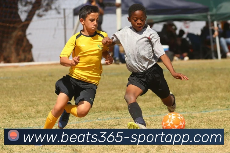 beats365体育平台生态图