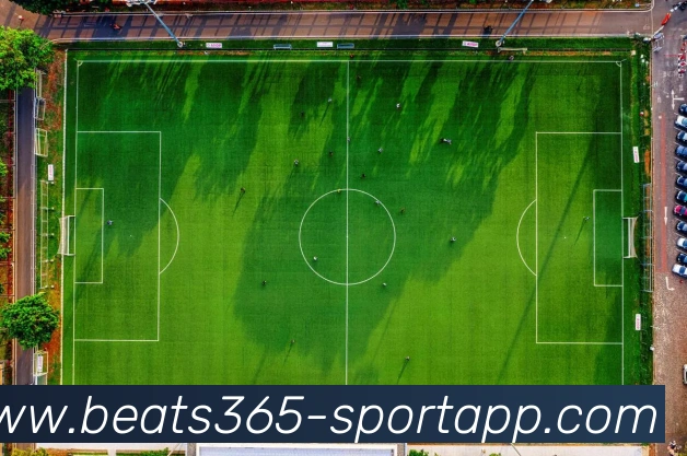 beats365体育APP 封面图